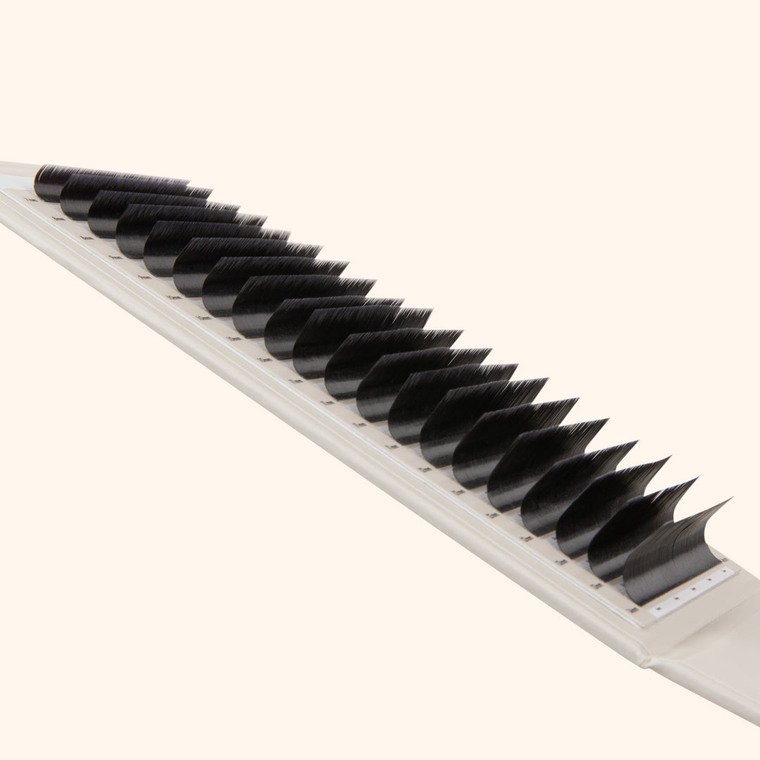 Volume Kensington Lashes 0.07 - 20 Lash Lines