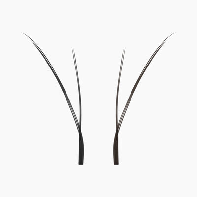Close-up of two individual black Kitten Lash extension fans on a white background, highlighting their fine tips and lightweight fibres.