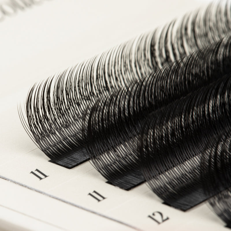 SpeedYY Lashes - 3DW with Spike