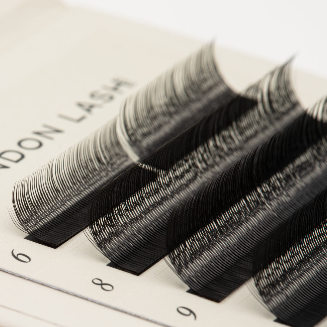 SpeedYY Lashes - 3DW with Spike